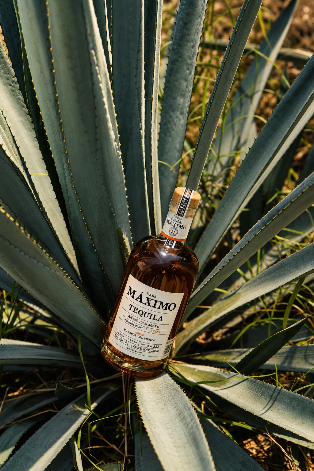 Casa Máximo Añejo · 750 mL