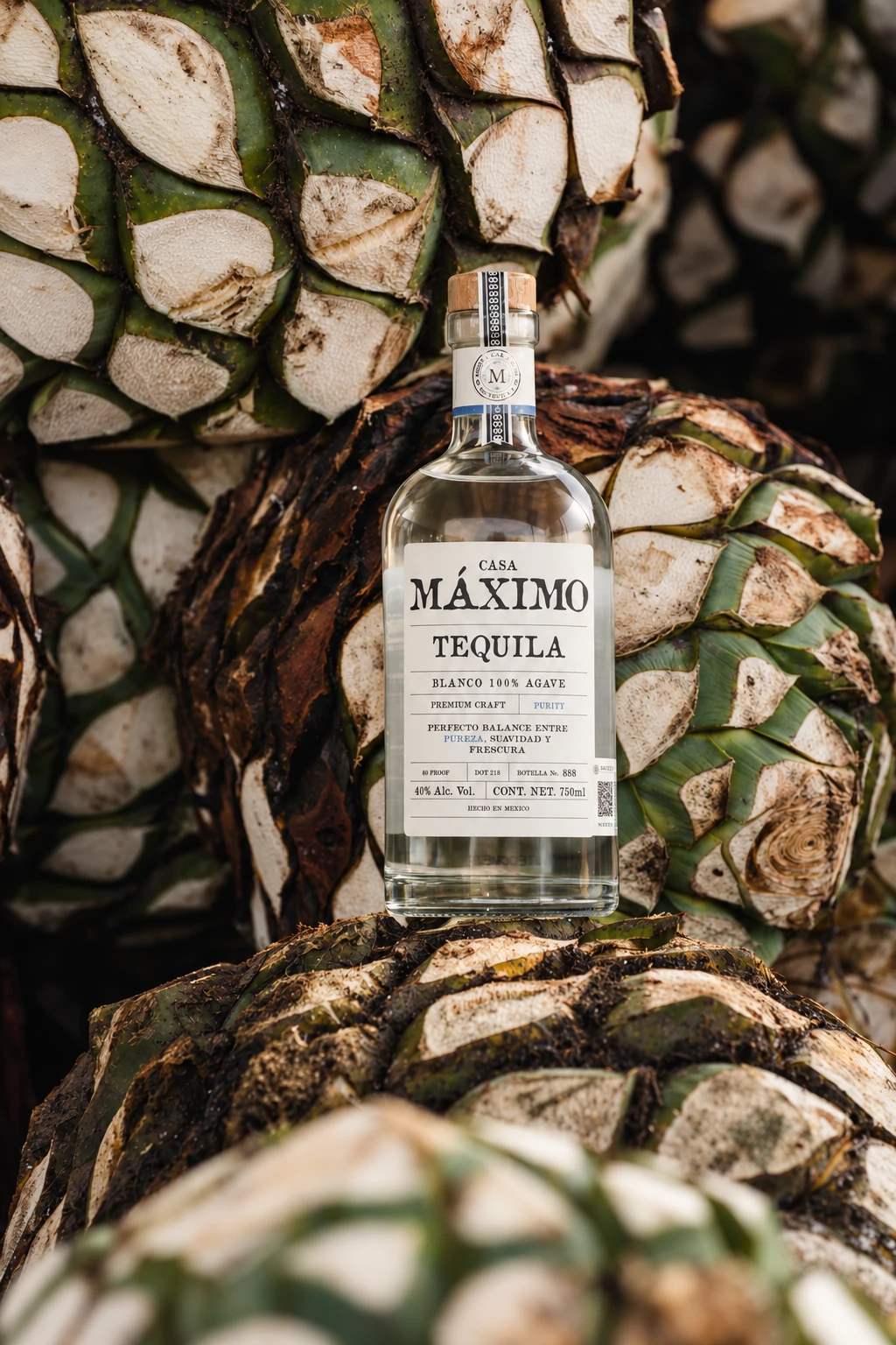 Casa Máximo Blanco · 750 mL