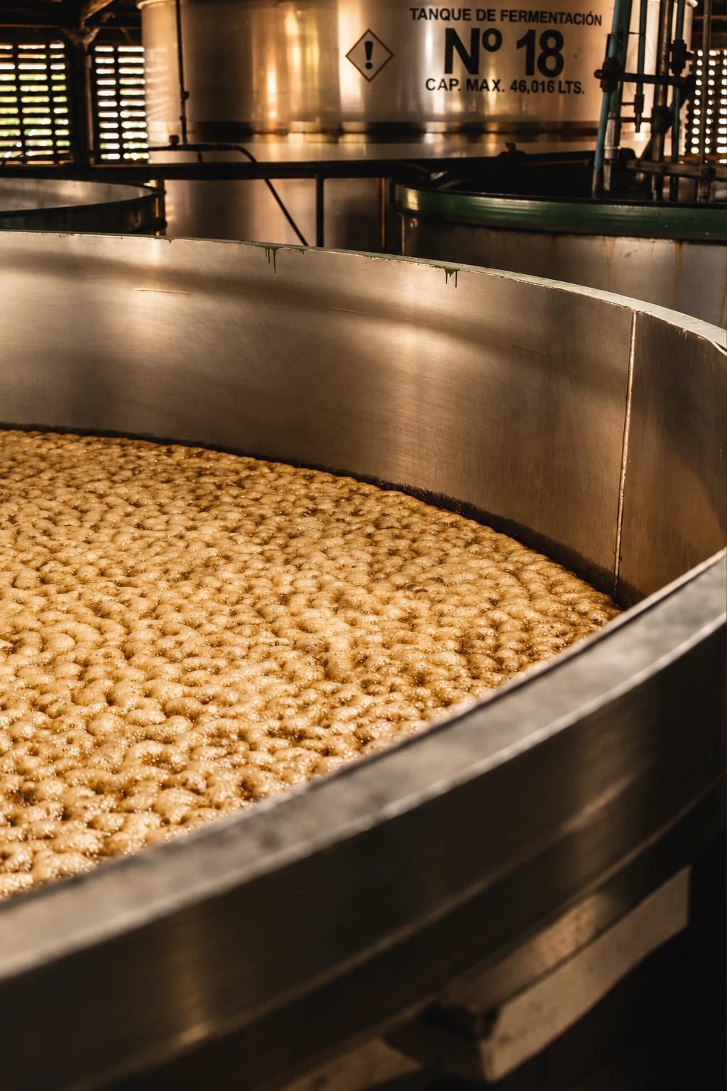 Fermentación